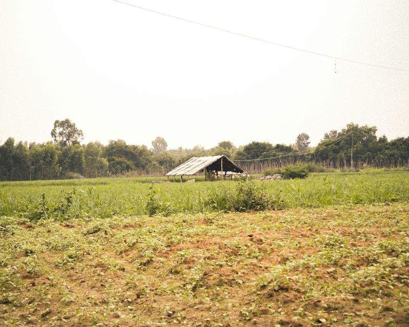 Agricoltura Verde Italia - Image 5