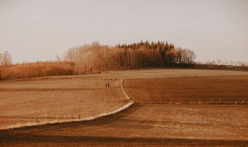 Agricoltura Verde Italia - Image 6