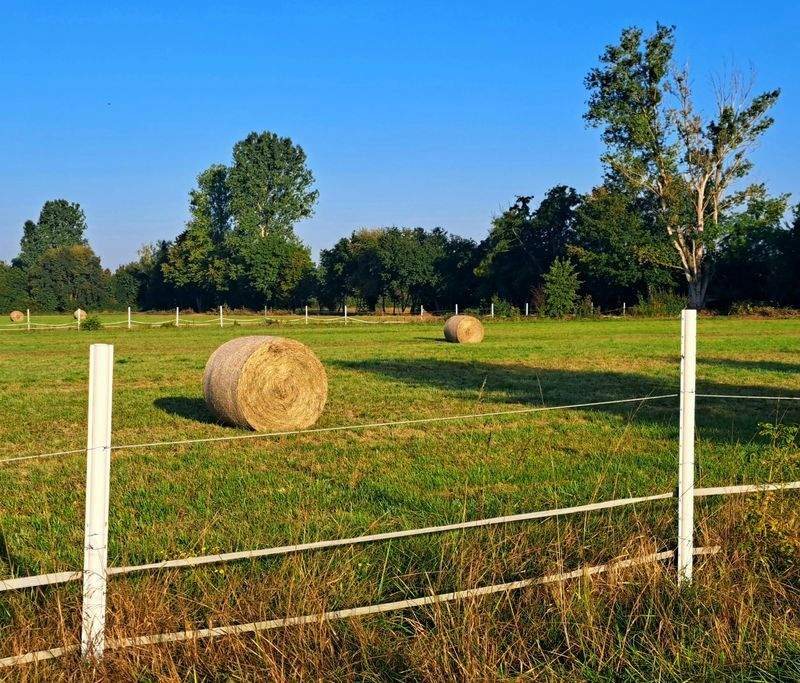 Agricoltura Verde Italia - Image 8